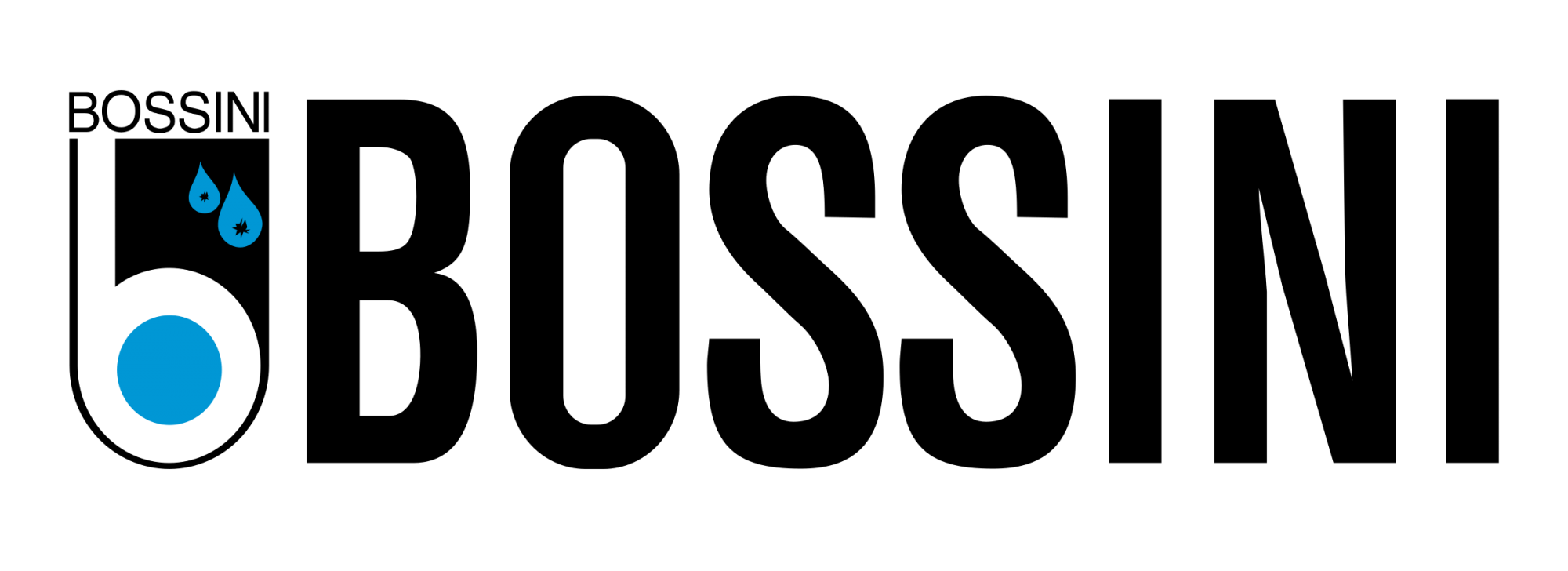 Логотип бренда Bossini