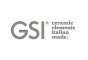 Логотип бренда GSI