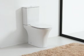 Ремонт унитаза Orange